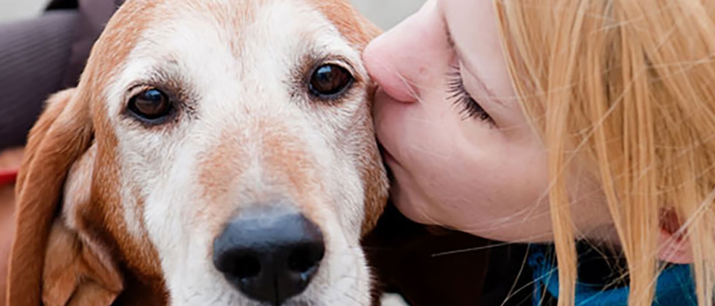 Problem-free mealtimes for puppies