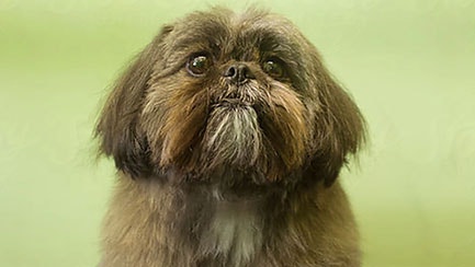 Ensuring good digestion